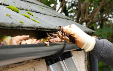 gutter cleaning Anderton