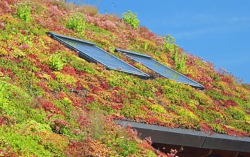 Anderton living roof systems